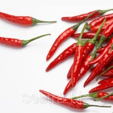 Перець червоний пекучий