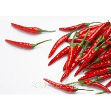 Перець червоний пекучий